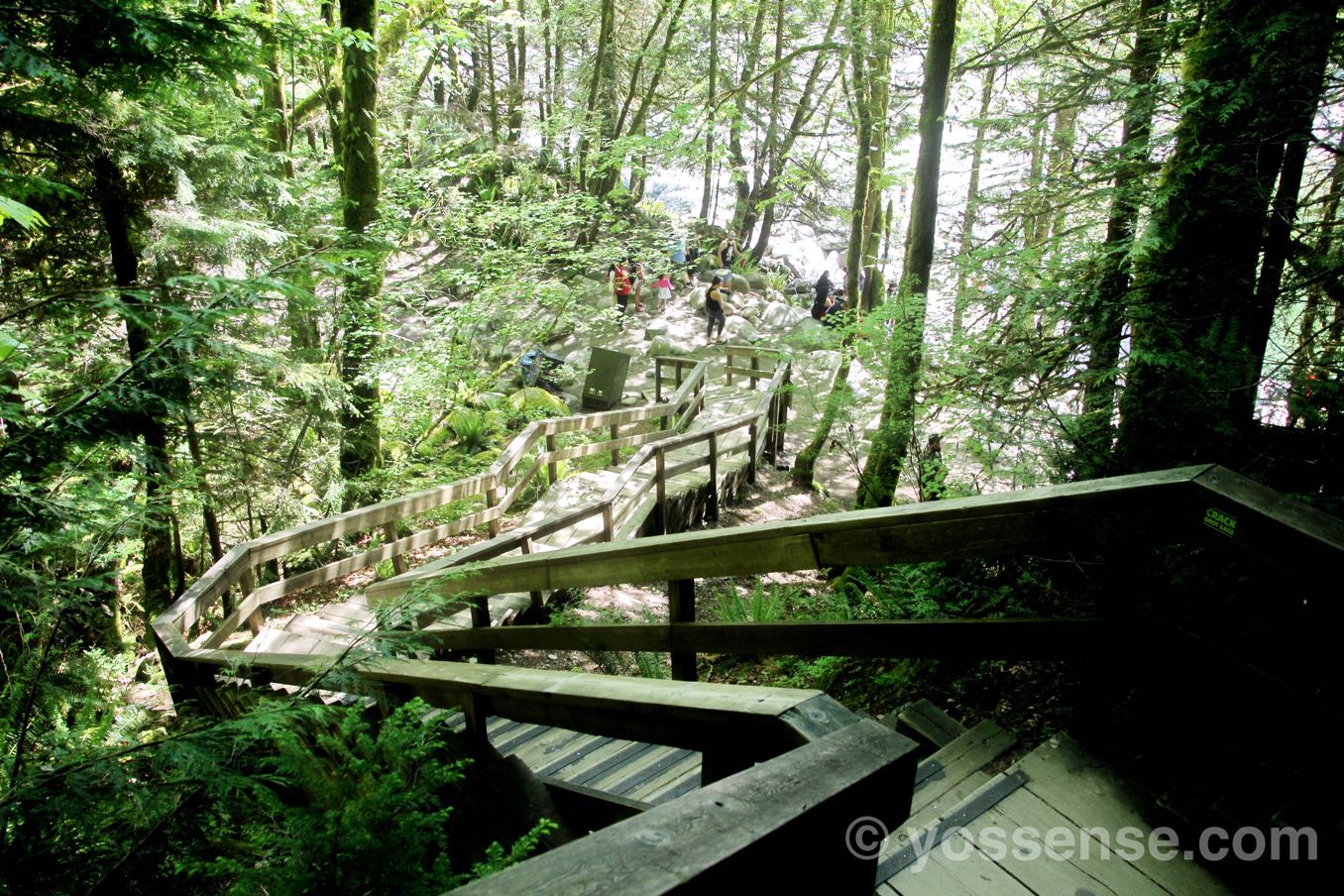 階段を下ると再び川に