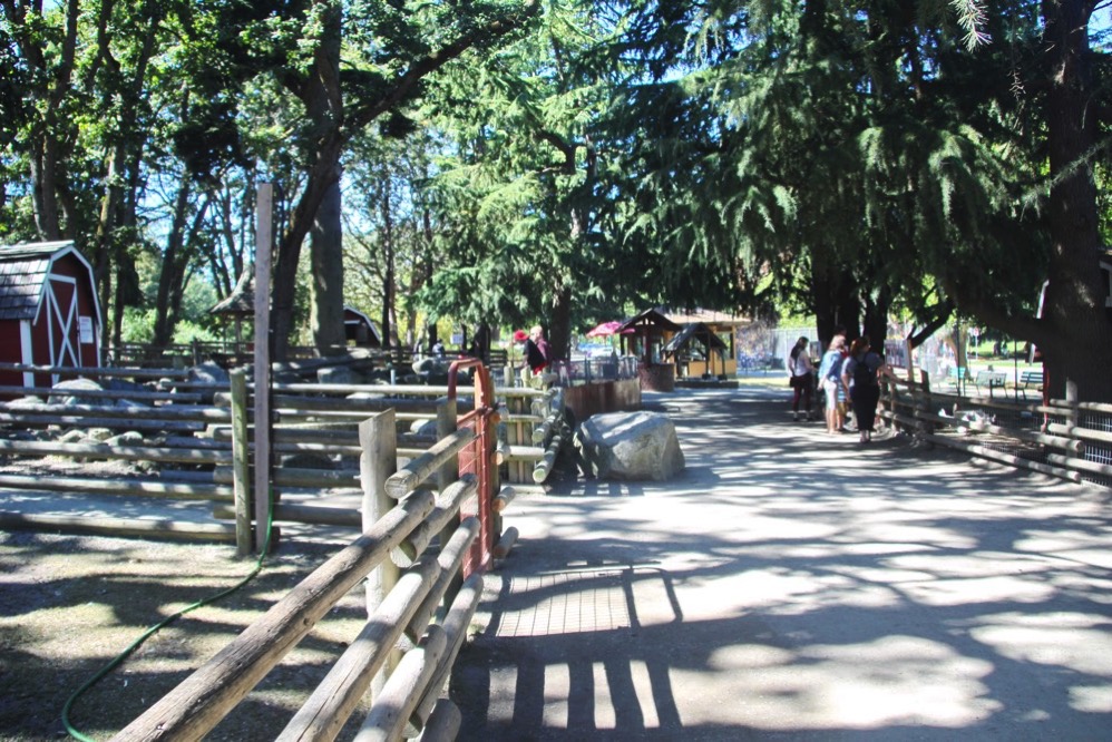 動物園の中の風景